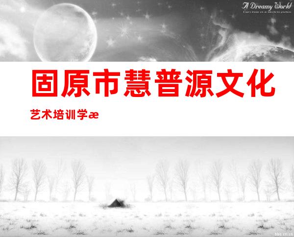 固原市慧普源文化艺术培训学校有限公司